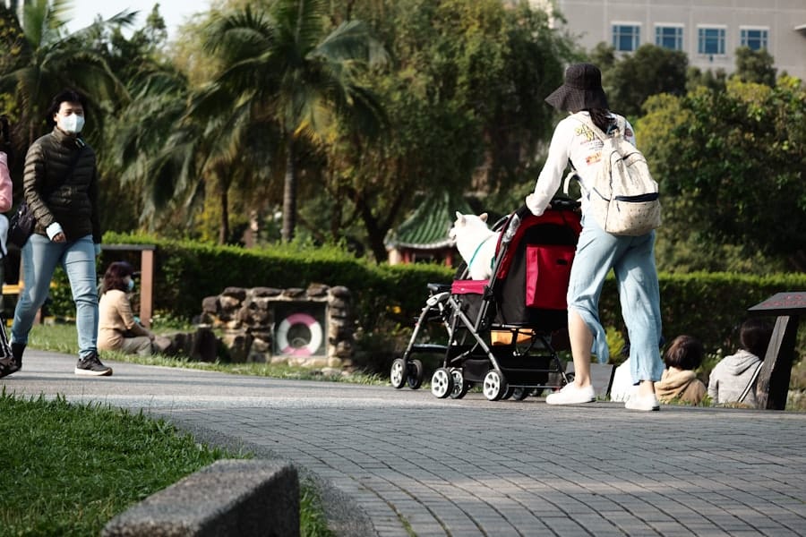 Wandelen met Kinderen