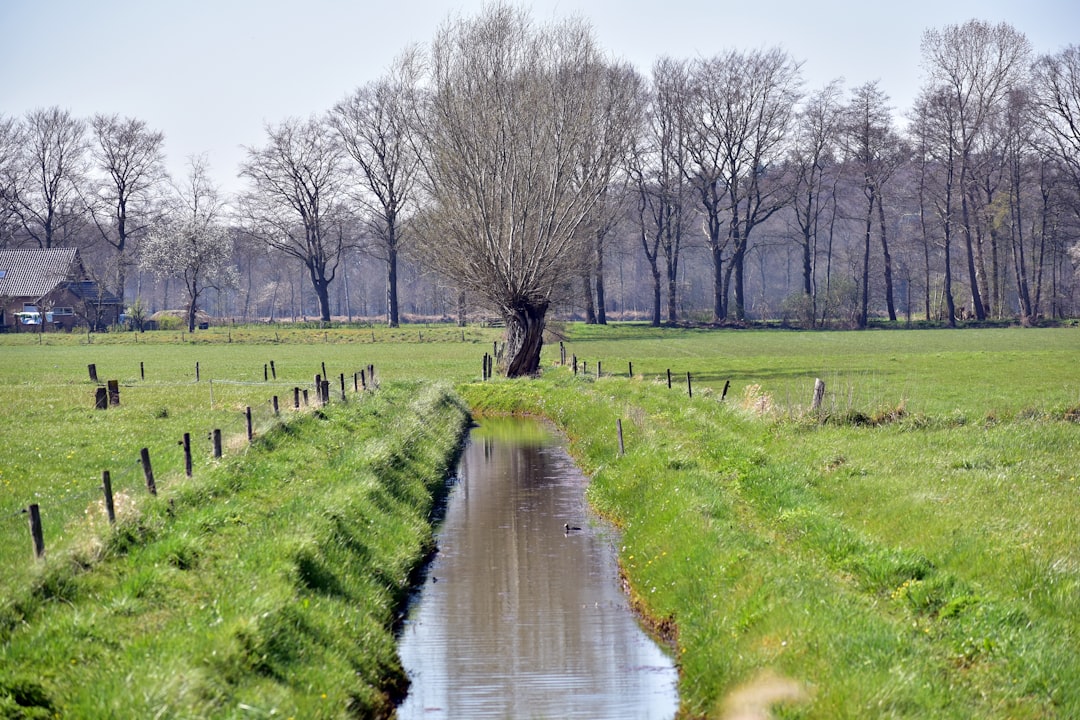 Photo Buitenspelen